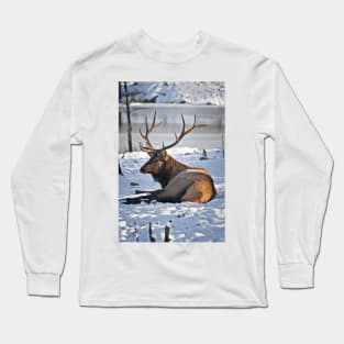 Elk In Snow Long Sleeve T-Shirt
